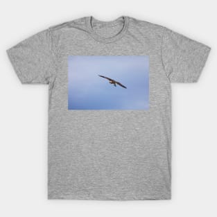 Osprey_VOA7096 T-Shirt